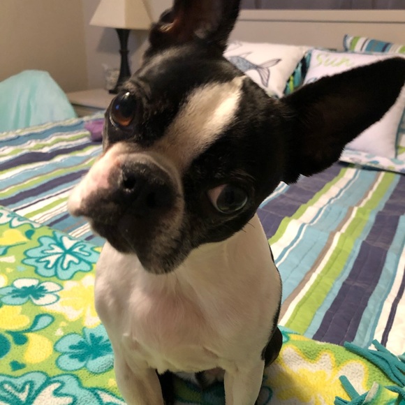 Meet your Posher, Angie - Picture 1 of 1